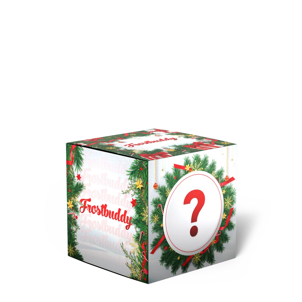 Christmas Mystery Buddy Box 2025
